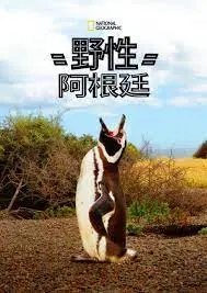《国家地理 野性阿根廷》：一场震撼心灵的自然之旅，探秘南美大陆的狂野之美！