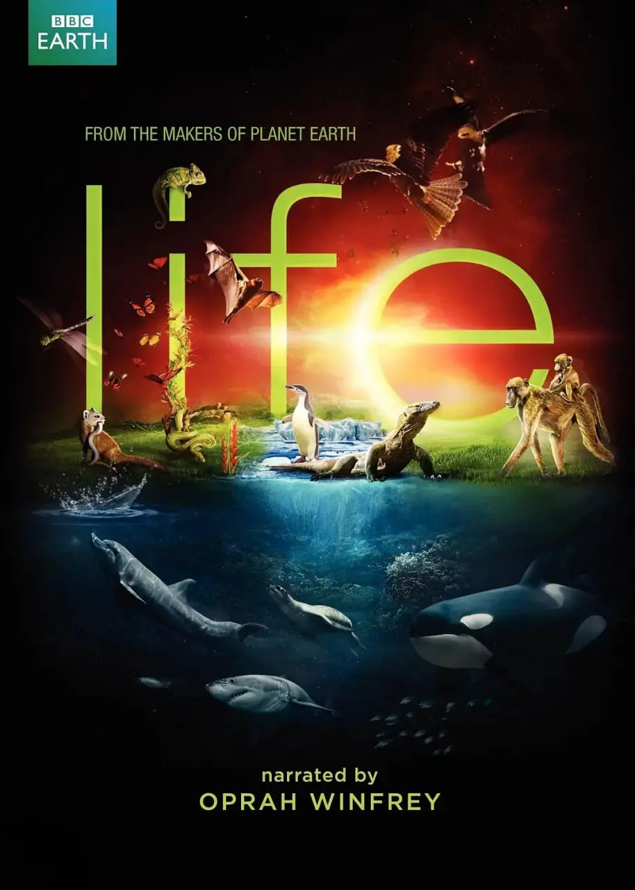 《生命 2009》：BBC史诗纪录片，震撼揭秘生物进化奥秘，感受地球脉动与生命的奇迹！