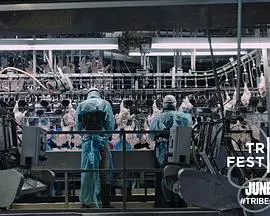 《毒从口入：食物的丑陋真相》：揭秘食品行业的黑幕，守护餐桌上的安全！