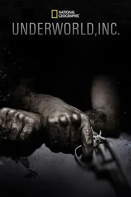 《黑市大企业第一季》：暗流涌动的商战风云，揭秘金钱背后的罪恶