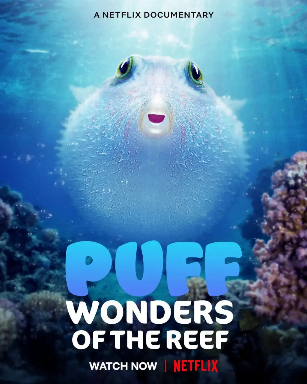 《河豚之家：神奇的珊瑚礁》：一场治愈心灵的海洋奇遇，揭秘珊瑚礁的秘密！