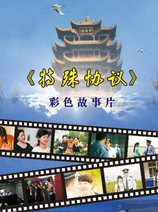 权力、阴谋与背叛：《特殊协议》揭秘政坛黑幕，一场关于正义的豪赌