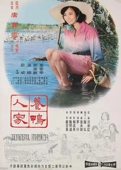 《养鸭人家》：田园牧歌下的残酷现实，经典台语片重温旧时光！